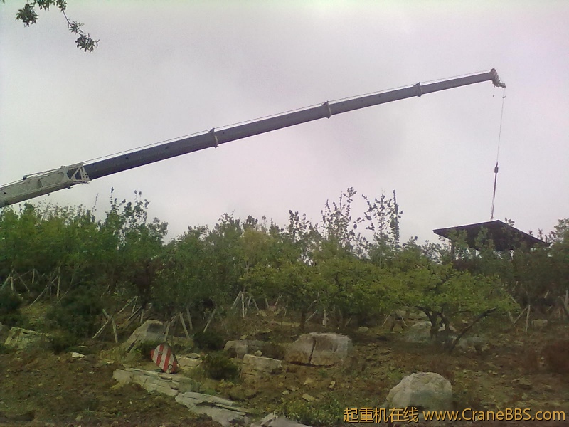 20120513918.jpg