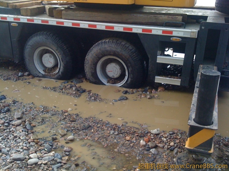 手机照片 7825.jpg