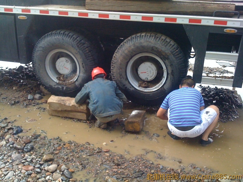 手机照片 7805.jpg