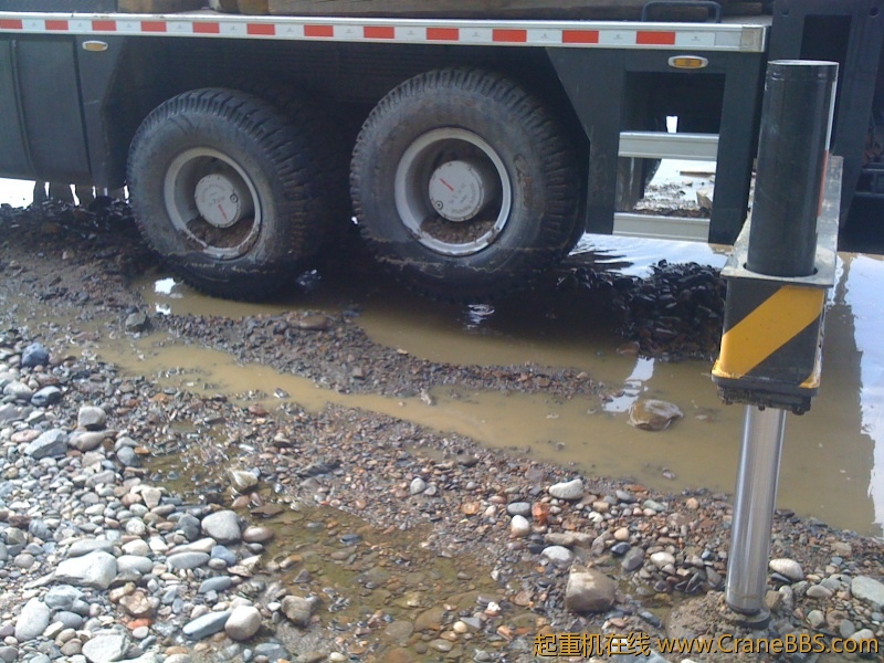 手机照片 7823.jpg