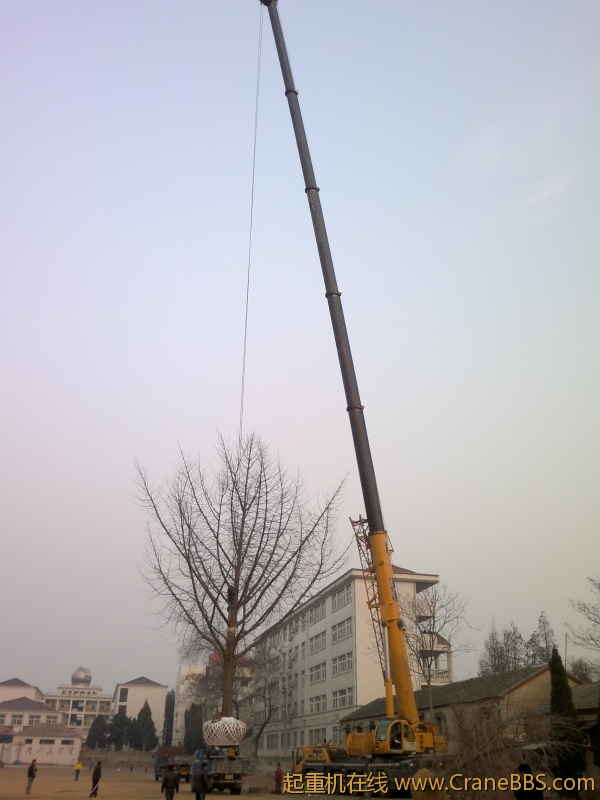 20120211214.jpg