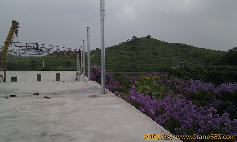 IMG_20120607_103112.jpg