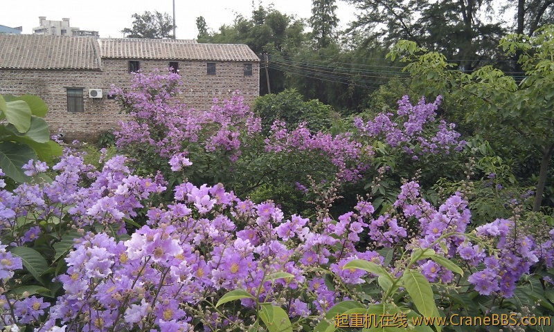 IMG_20120607_103126.jpg