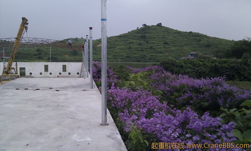 IMG_20120607_102943.jpg
