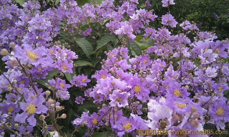 IMG_20120607_103025.jpg