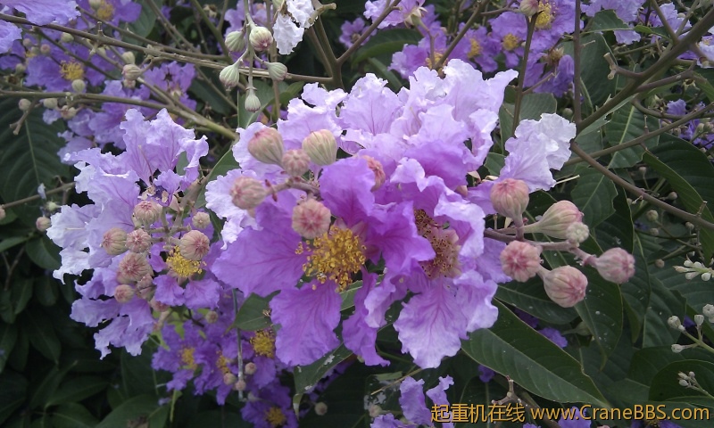 IMG_20120607_103053.jpg