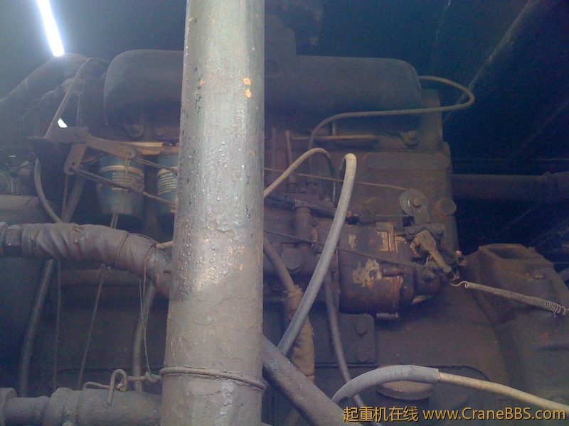 手机照片 7831.jpg