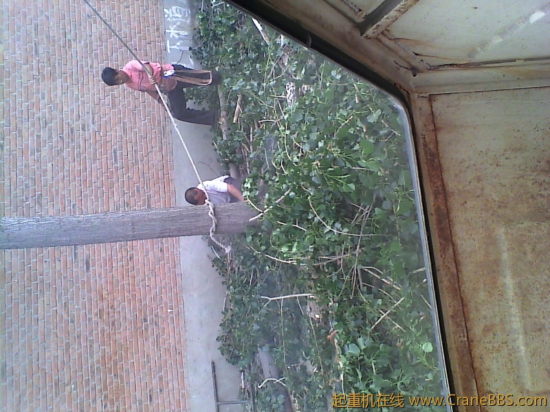 IMG0028A.jpg