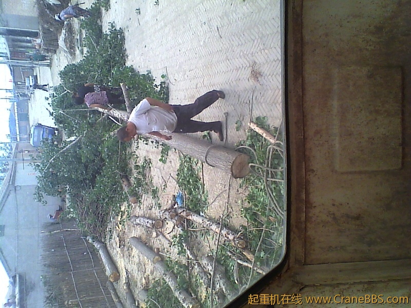 IMG0029A.jpg