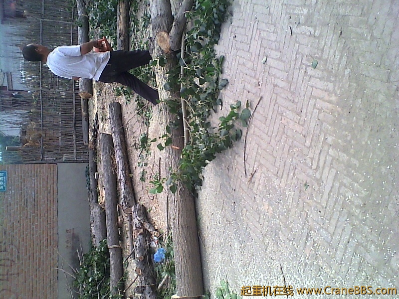 IMG0031A.jpg