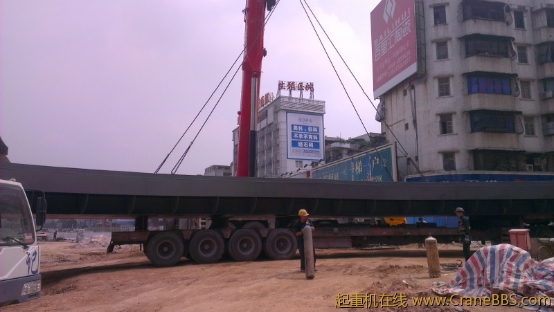 IMAG0221.jpg
