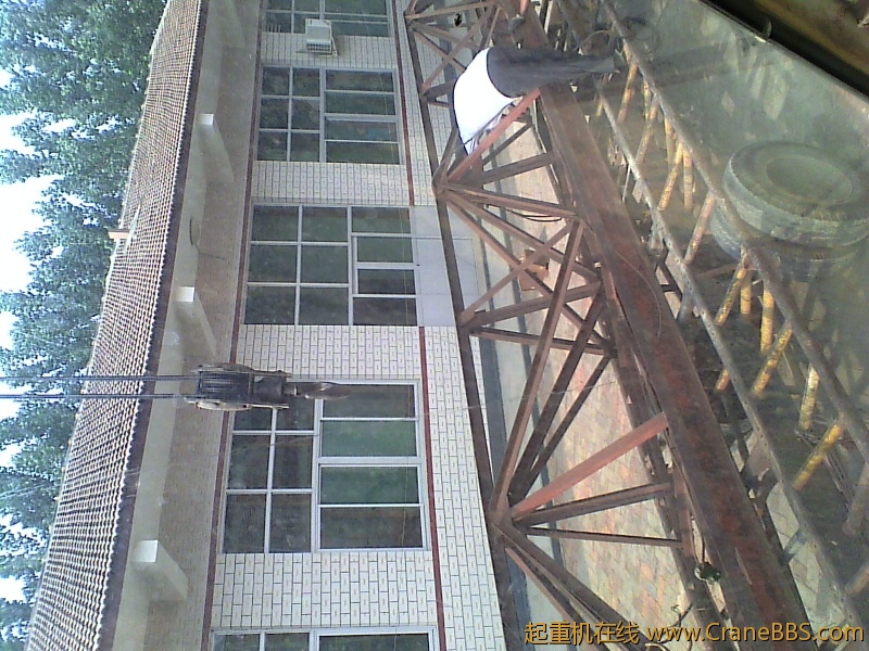 IMG0051A.jpg