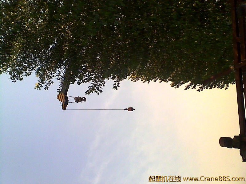 IMG0056A.jpg