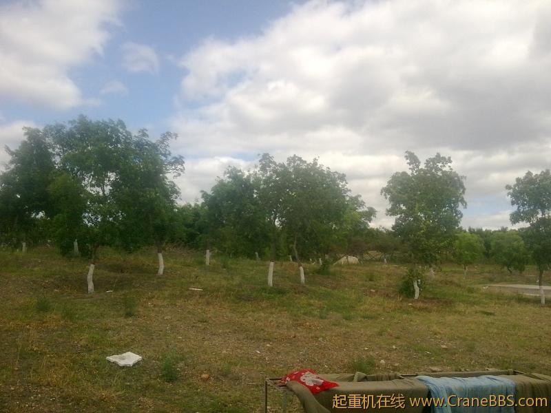 20120610133.jpg