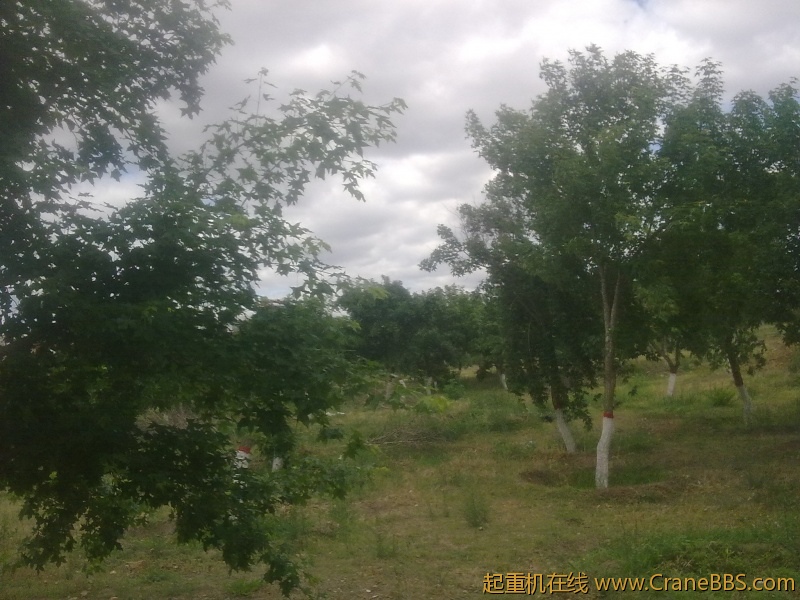 20120610131.jpg