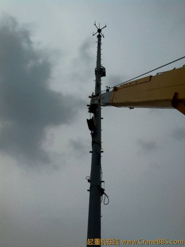 lvminghua4568hl110maomao739586.jpeg