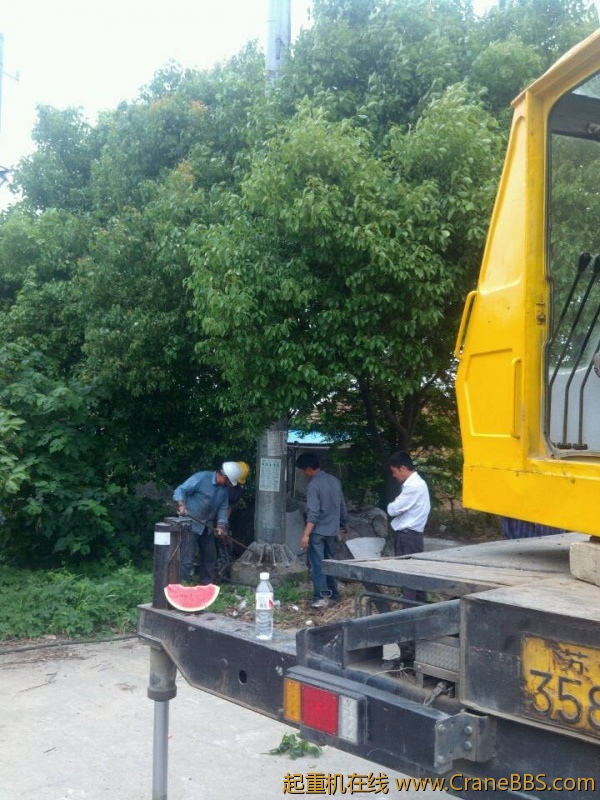 lvminghua4568hl110maomao739672.jpeg