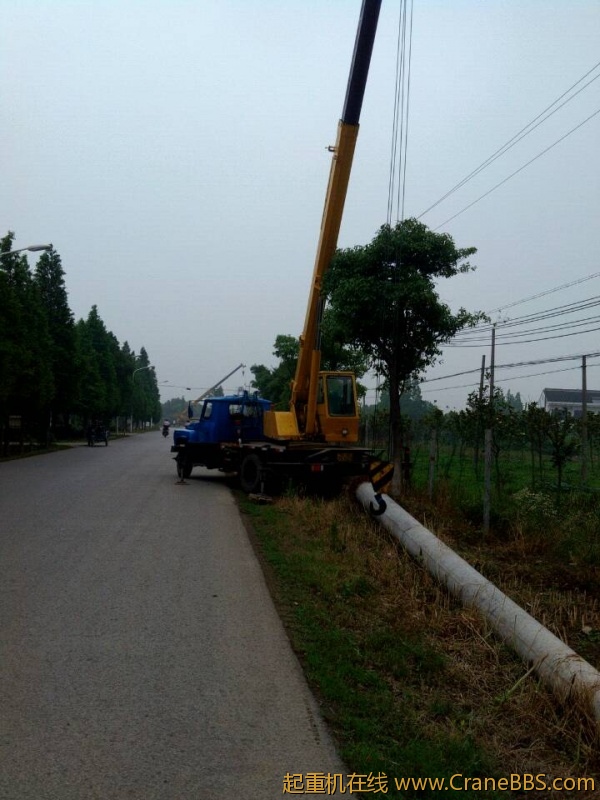 lvminghua4568hl110maomao749286.jpeg