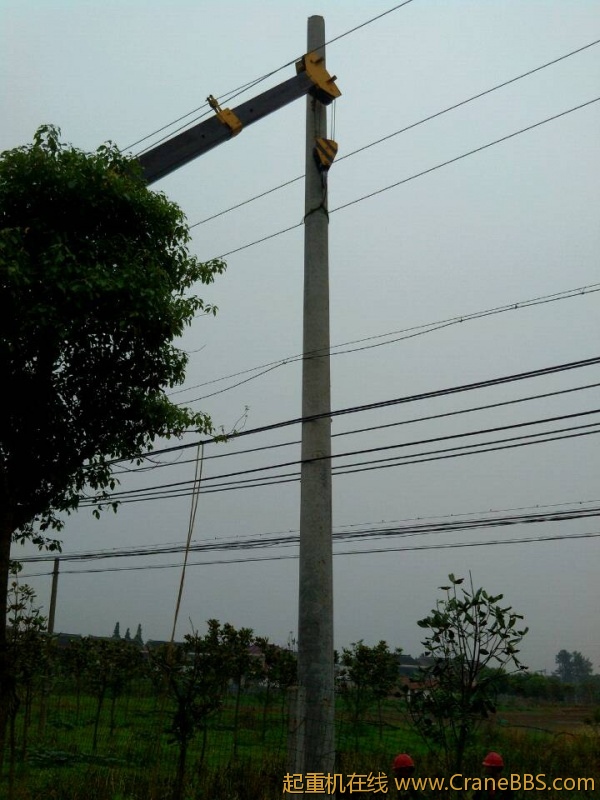 lvminghua4568hl110maomao749303.jpeg