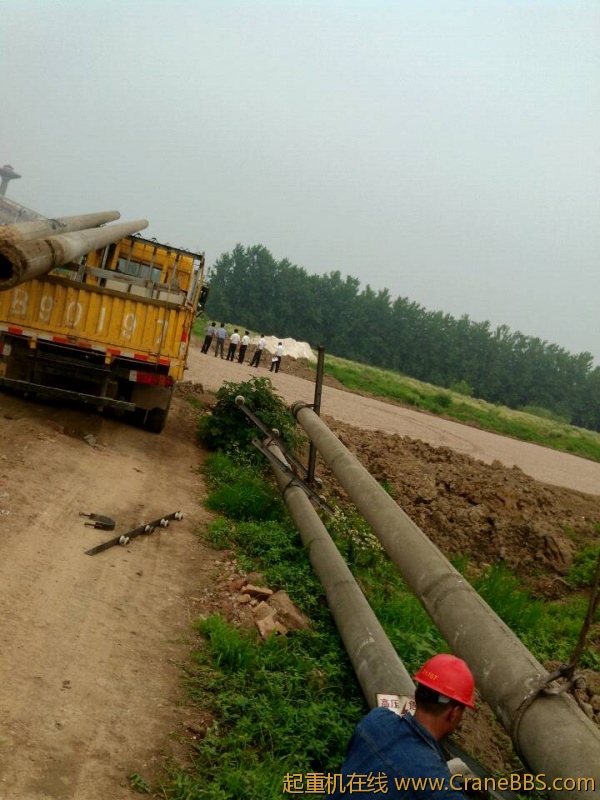 lvminghua4568hl110maomao749634.jpeg