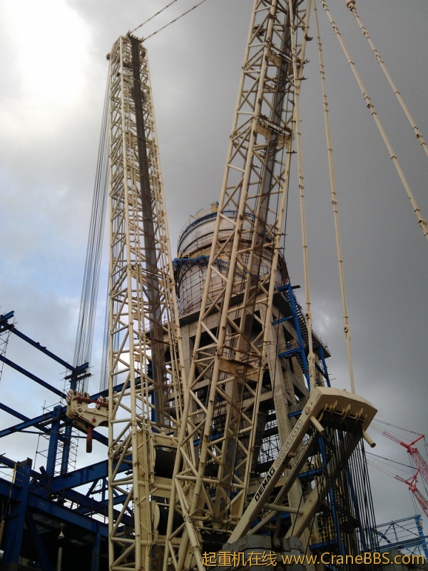 IMAG0593.jpg