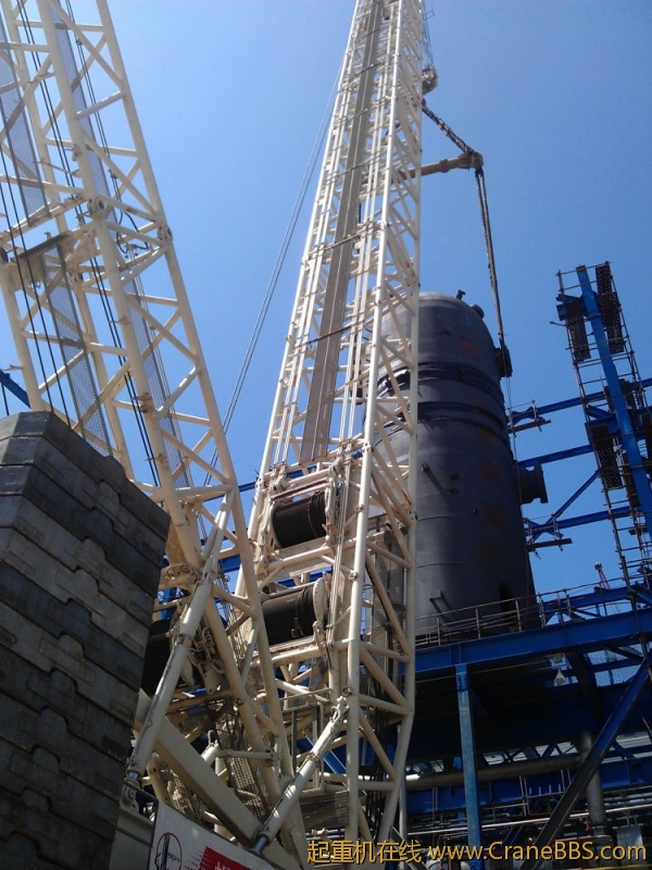 IMAG0586.jpg