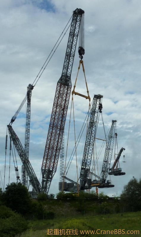 LiebherrLiftsLiebherrs.jpg