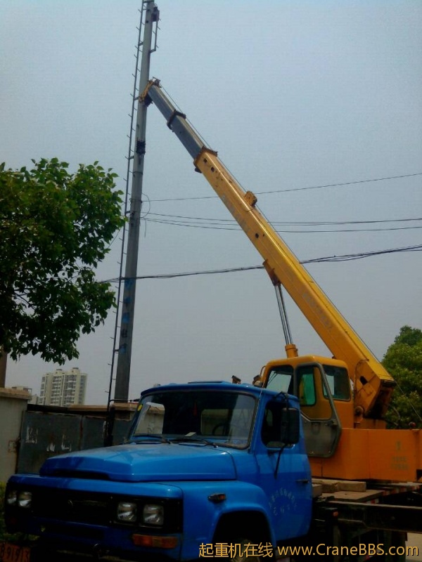 lvminghua4568hl110maomao752693.jpeg