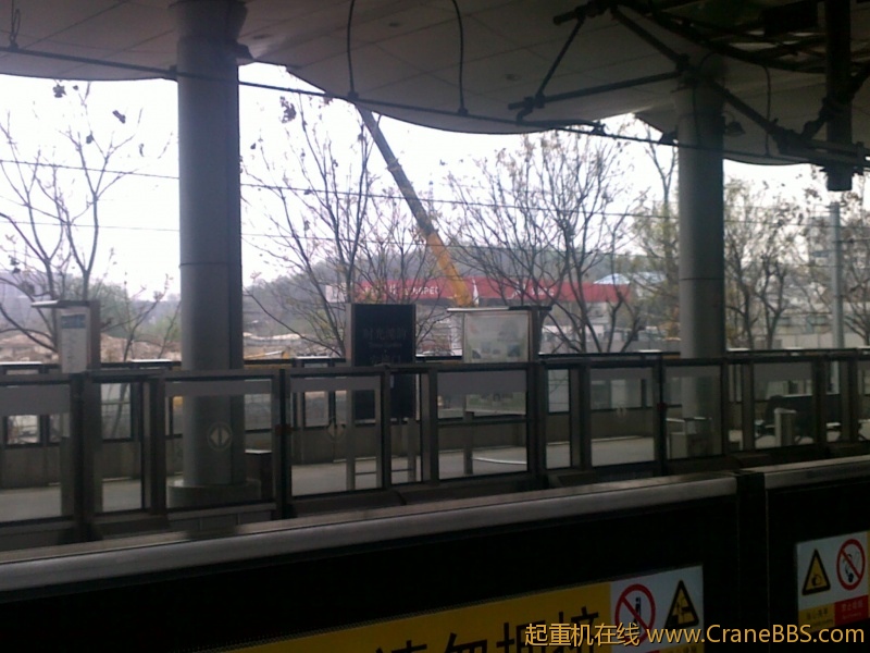 20120409782.jpg