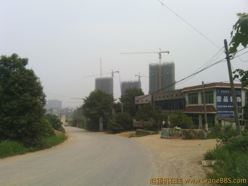 IMG_20120615_132822.jpg