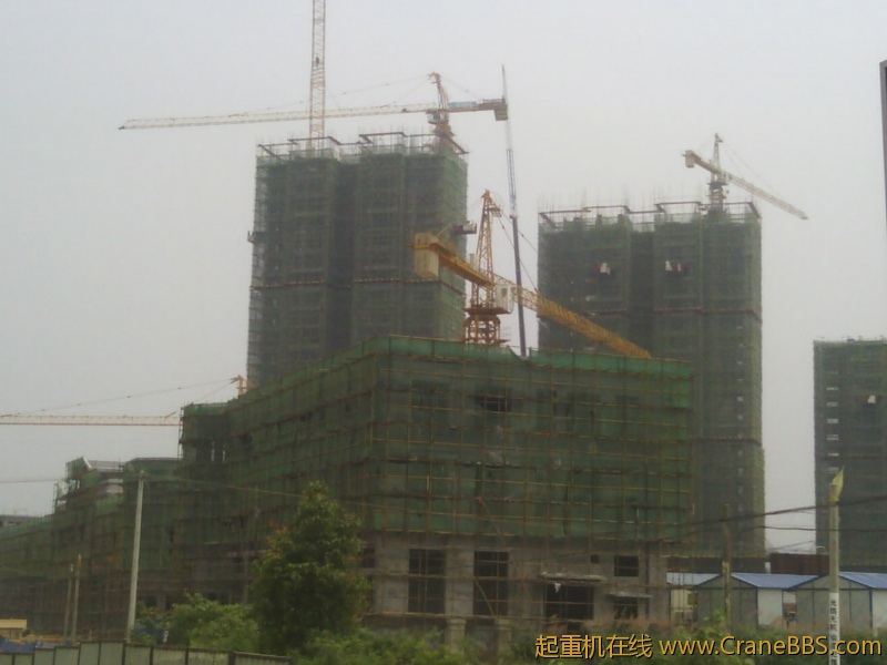 IMG_20120615_133017.jpg