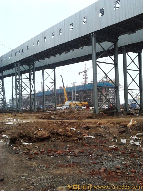 IMG_20120618_083210.jpg