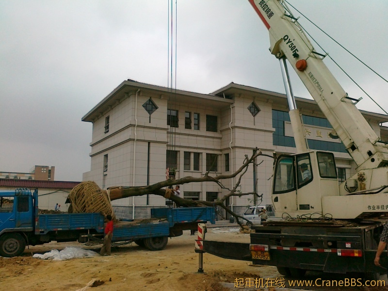 20120619713.jpg
