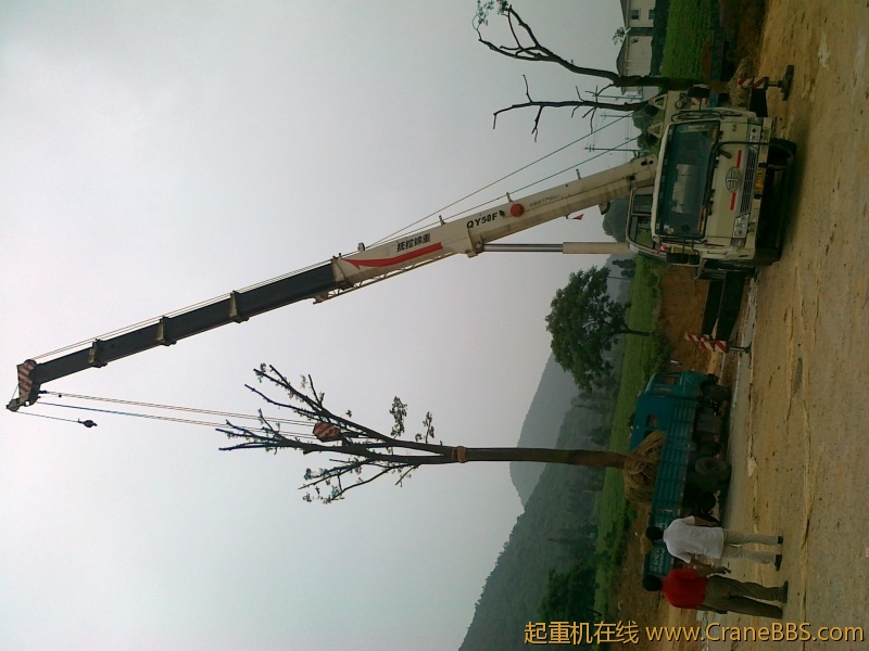 20120619718.jpg
