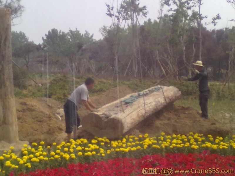 20110608354.jpg