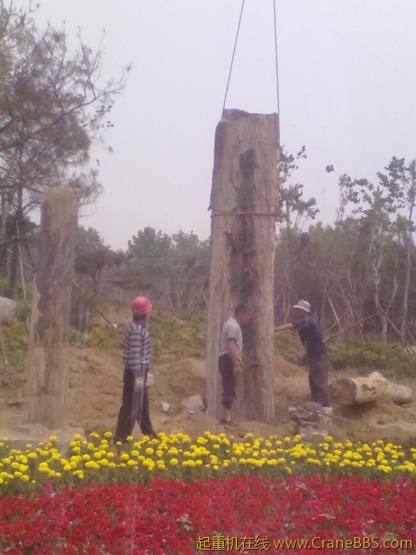20110608361.jpg