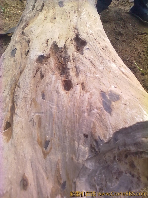 20110608364.jpg