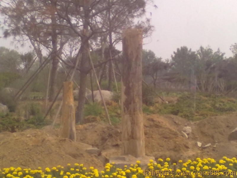 20110608355.jpg