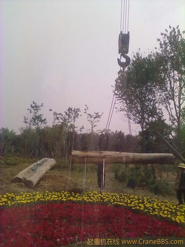 20110608356.jpg