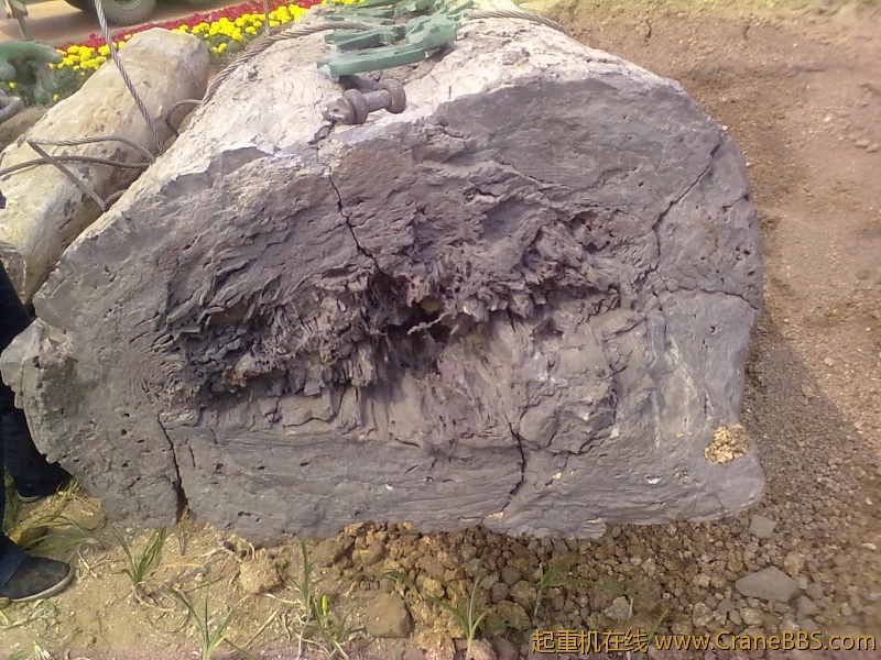 20110608358.jpg