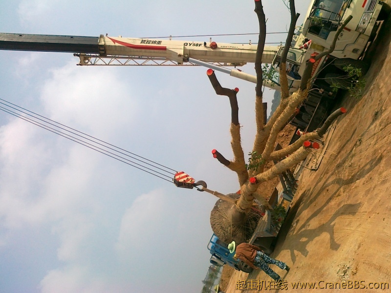 20120621729.jpg