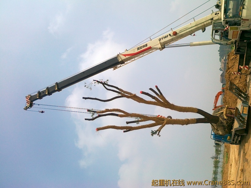 20120621730.jpg