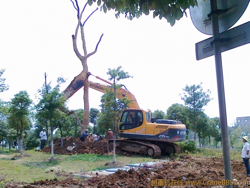 20120621736.jpg