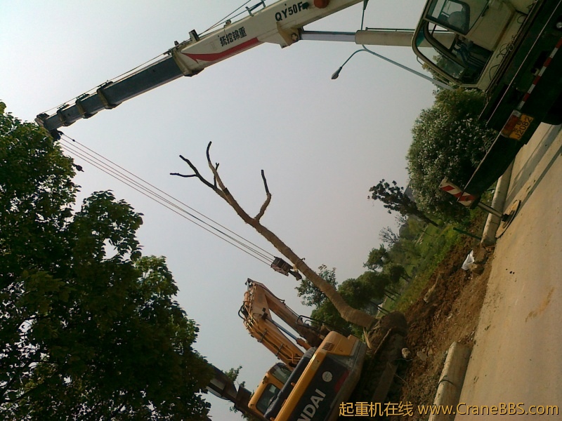 20120621734.jpg