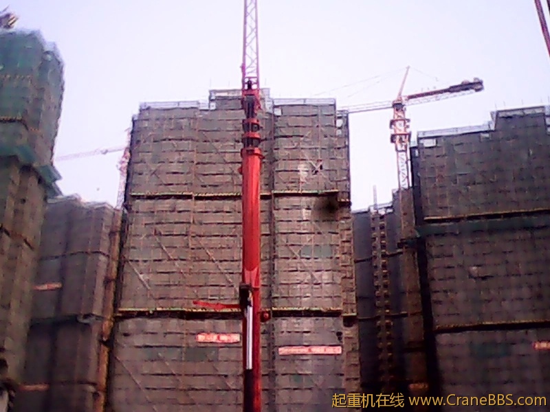 IMG00019.jpg