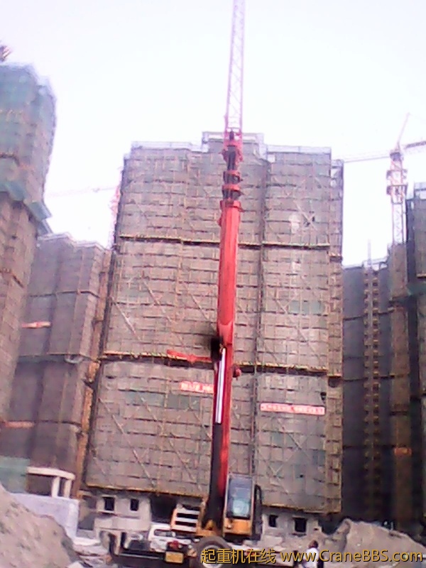 IMG00020.jpg