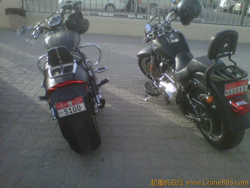 IMG-20120316-00310.jpg