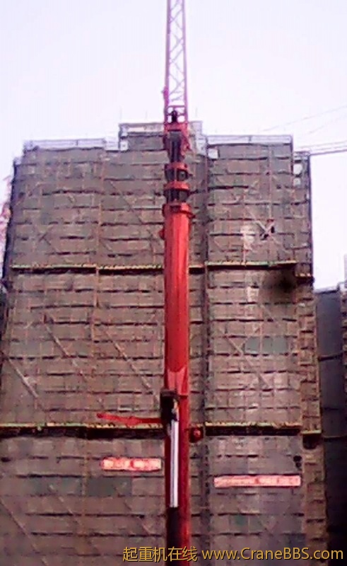IMG00019.jpg