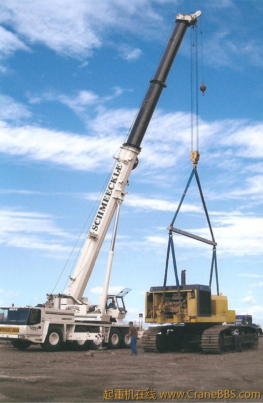 crane_2009_pics_002_edited.jpg