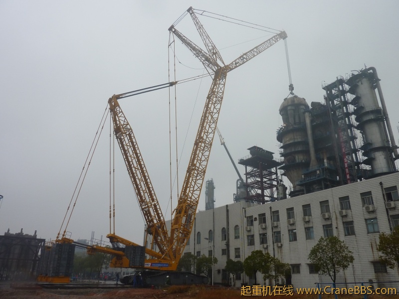 P1010789 (2100x1575).jpg